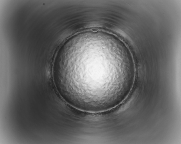 X0000089870929200707051149