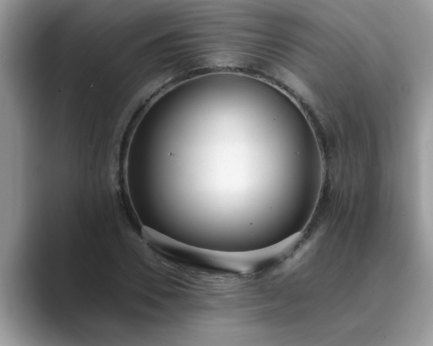 X0000089870930200707051149
