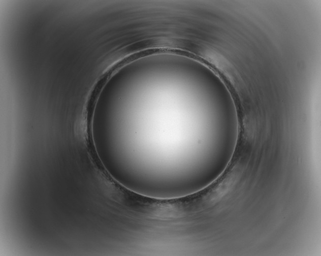X0000089870931200707051149
