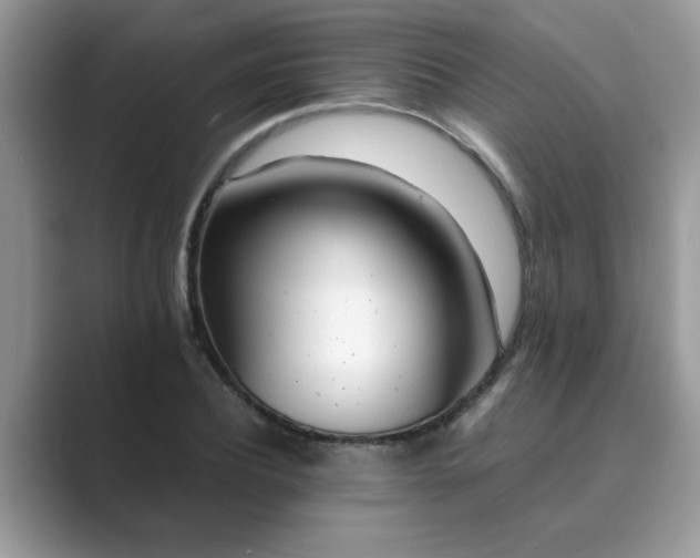 X0000089870932200707051149