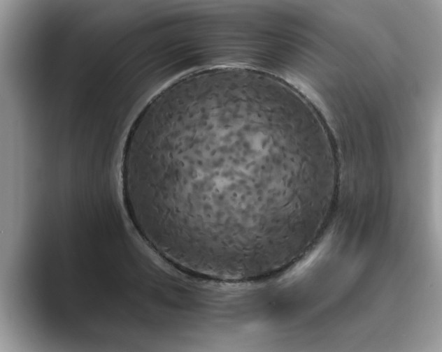 X0000089870941200707051149