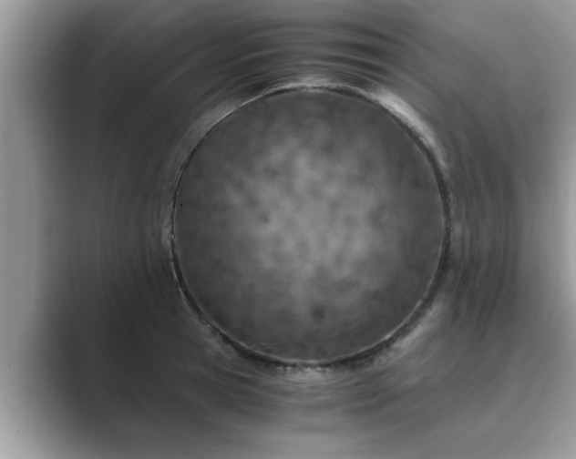 X0000089870945200707051149