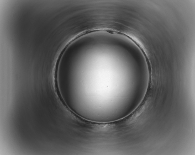 X0000089870949200707051149