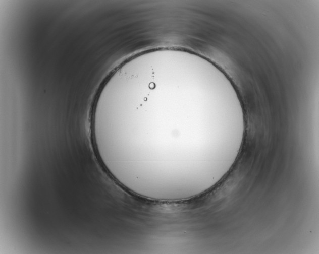 X0000089870950200707051149