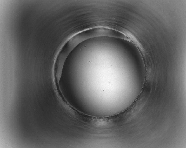 X0000089870955200707051149