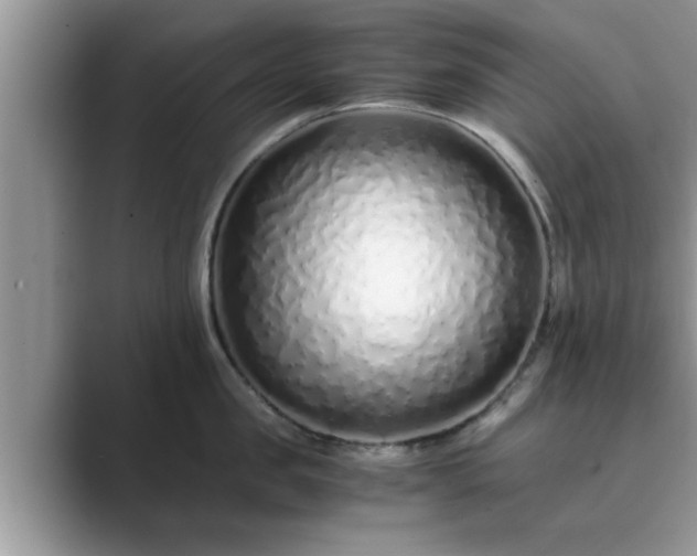 X0000089870957200707051149