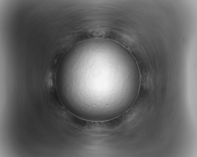 X0000089870962200707051149