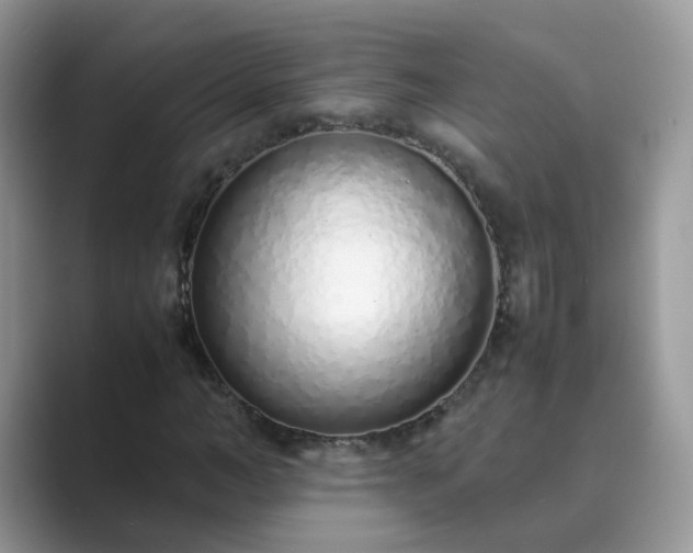 X0000089870966200707051149