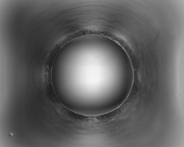 X0000089870968200707051149