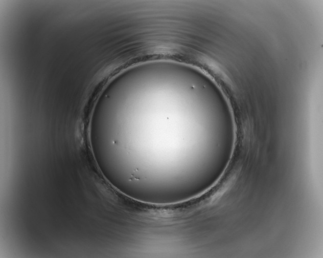 X0000089870970200707051149