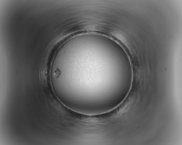 X0000089870971200707051149