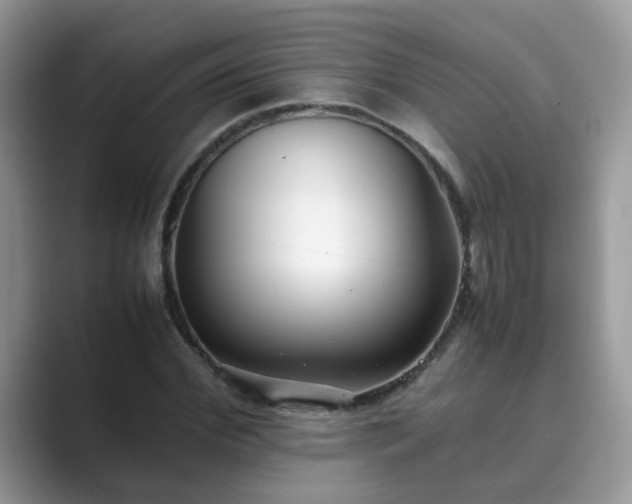 X0000089870972200707051149