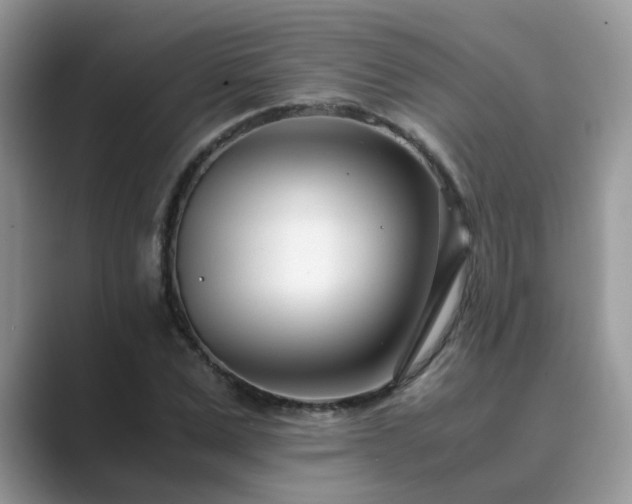 X0000089870975200707051149