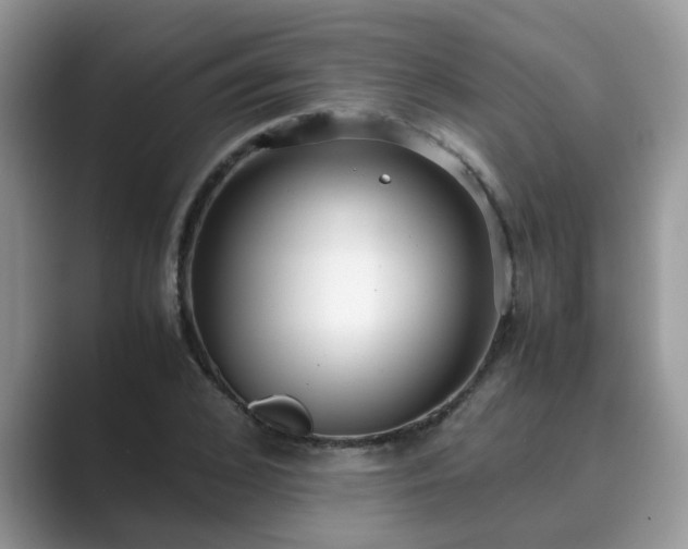 X0000089870976200707051149