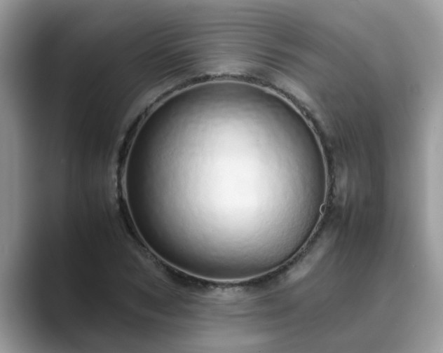 X0000089870978200707051149