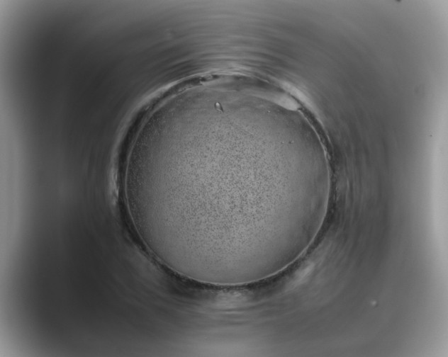X0000089870979200707051149