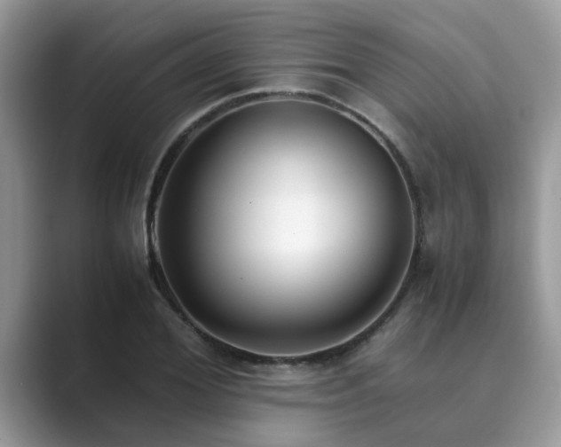 X0000089870980200707051149