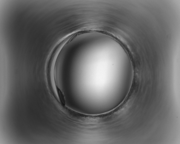 X0000089870981200707051149