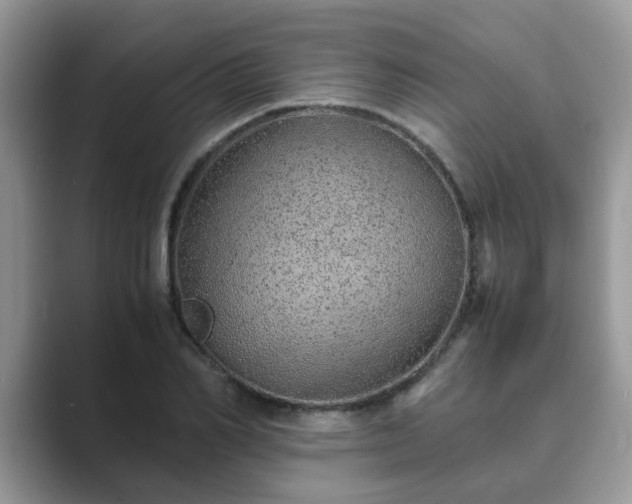 X0000089870982200707051149