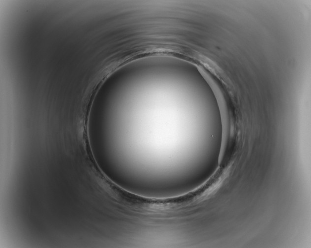X0000089870985200707051148
