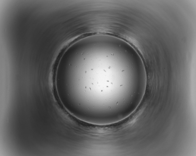 X0000089870987200707051148
