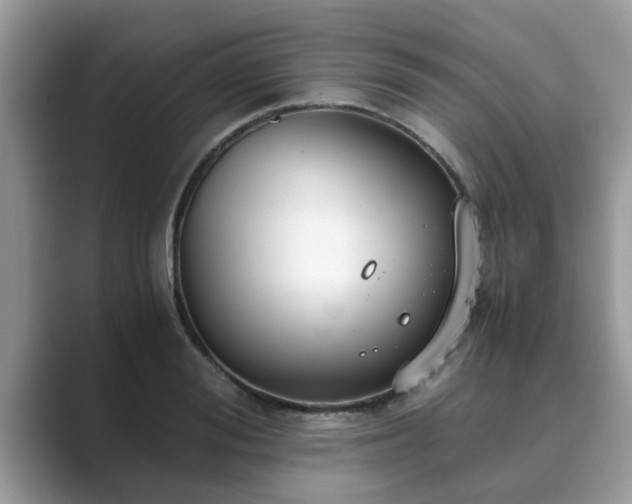 X0000089870988200707051148