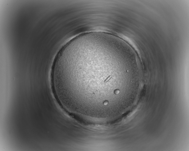 X0000089870995200707051148