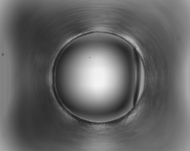 X0000089870999200707051148