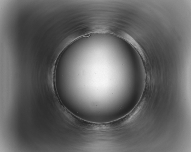X0000089871002200707051148