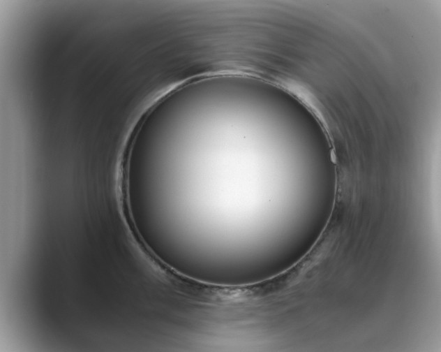 X0000089871003200707051148