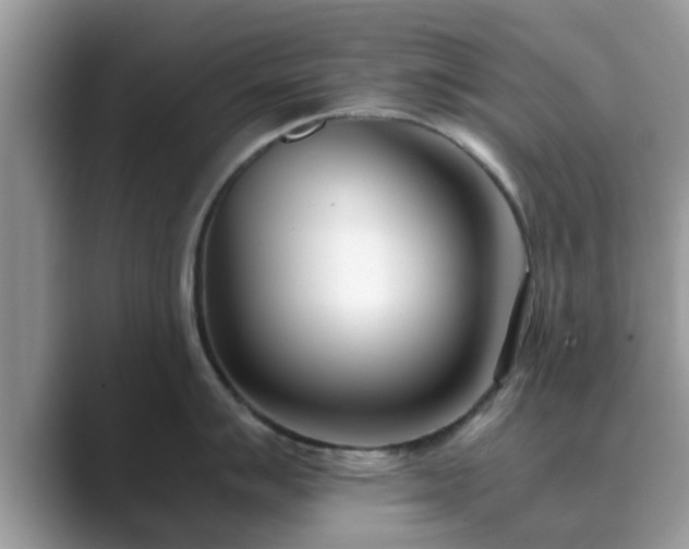 X0000089871007200707051148