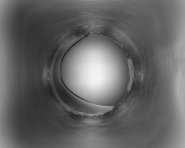 X0000089871010200707051148