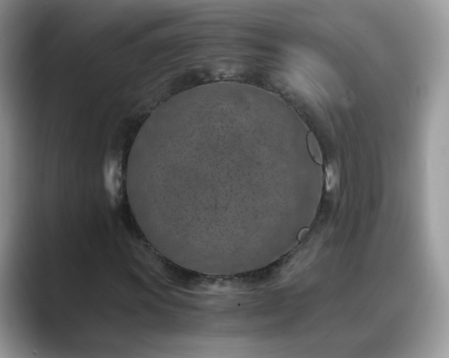 X0000089871011200707051148