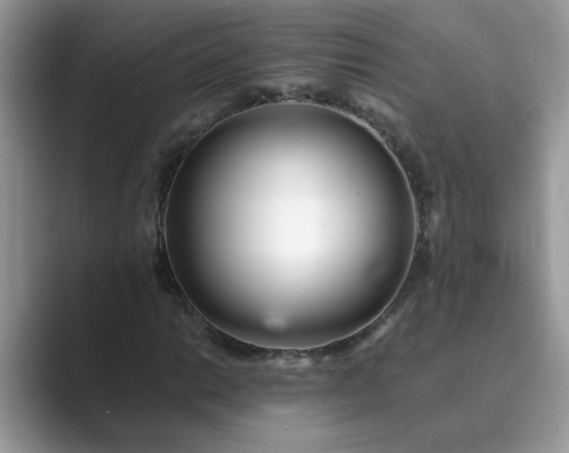 X0000089871014200707051148