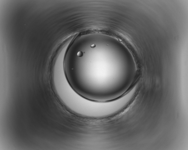 X0000089871018200707051148