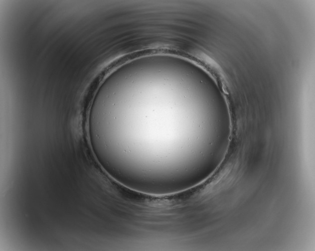 X0000089871019200707051148