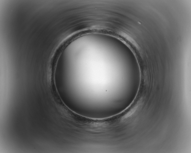 X0000089871021200707051148