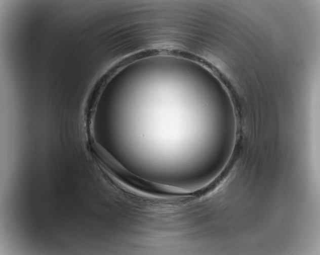 X0000089871022200707051148