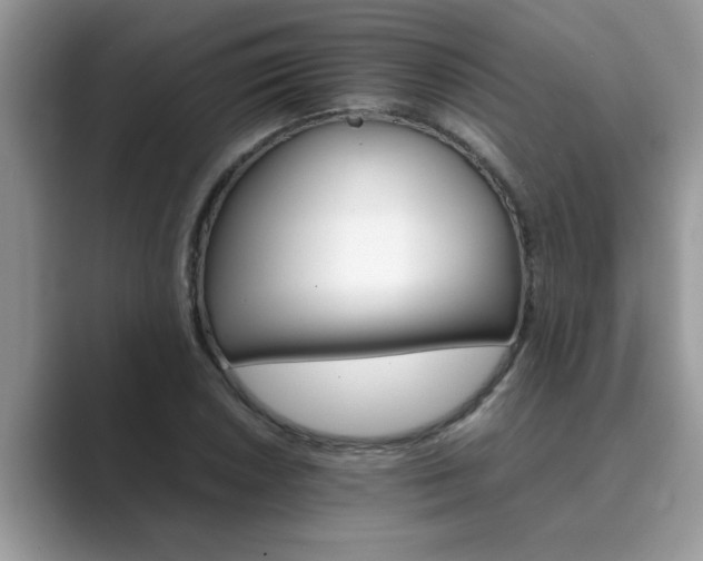 X0000089871026200707051148