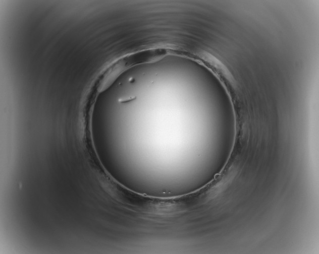 X0000089871027200707051148