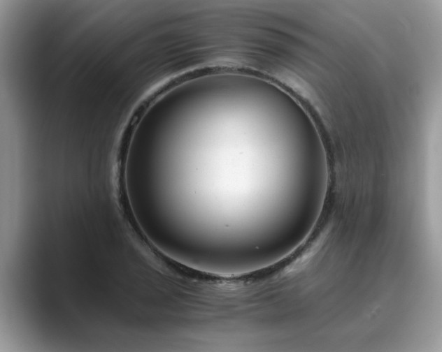 X0000089871029200707051148