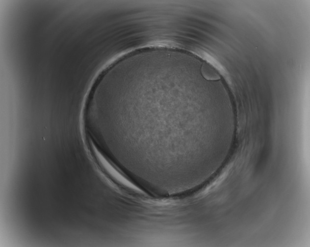 X0000089871037200707051148