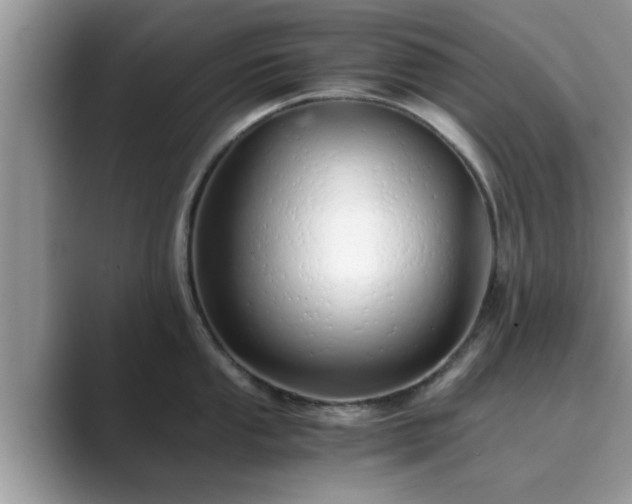 X0000089871053200707051148