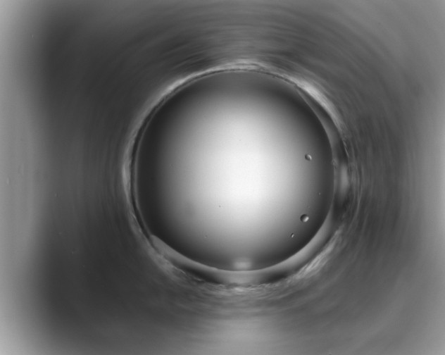X0000089871054200707051148