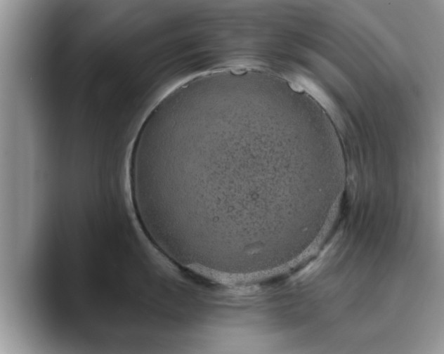 X0000089871055200707051148