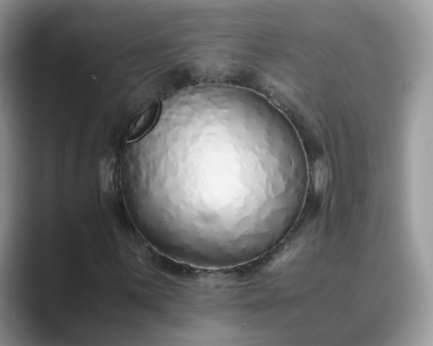 X0000089871059200707051148