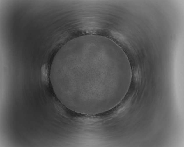 X0000089871060200707051148
