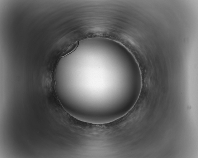 X0000089871062200707051148