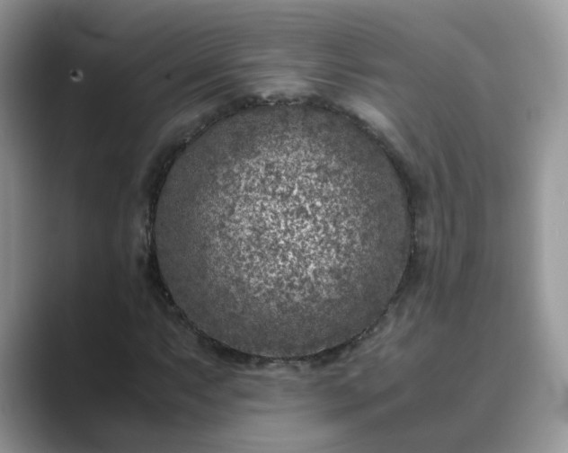 X0000089871063200707051148