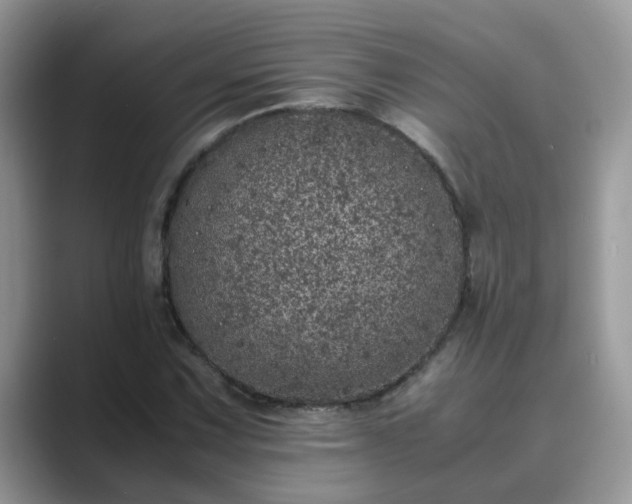 X0000089871067200707051148